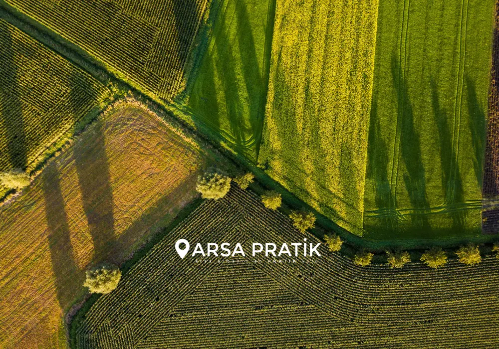 arsa pratik